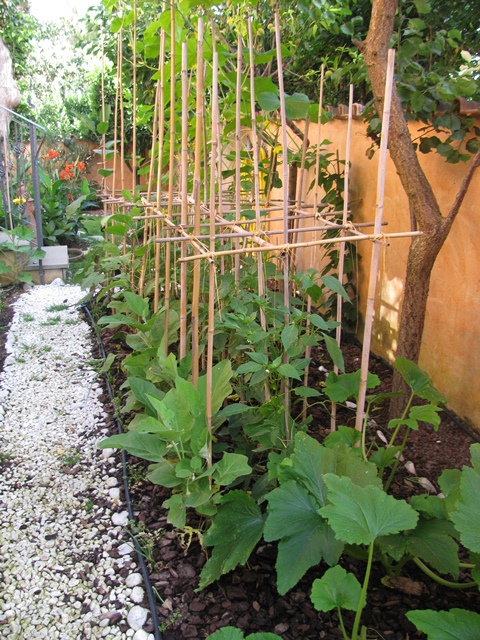 Raffia naturale - immagine 3