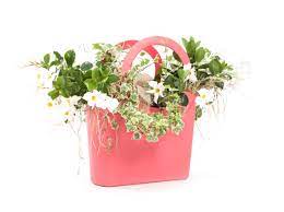 BB Bag - immagine 2
