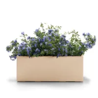 Cassetta kebe - Thumbnail Image 12