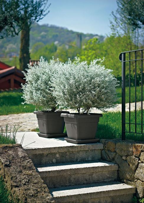 Vaso quadro krea - immagine 2