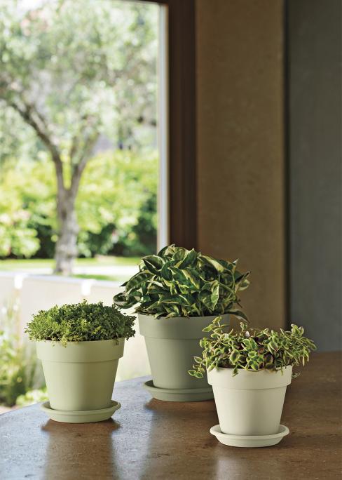 Vaso Mitu Pac ⌀ 20 - CT Garden Casa
