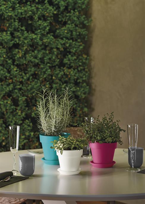 Vaso Mitu Pac ⌀ 20 - CT Garden Casa