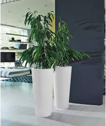 Vaso Ilie Gloss - immagine 1
