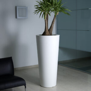 Vaso Ilie - Thumbnail Image 4