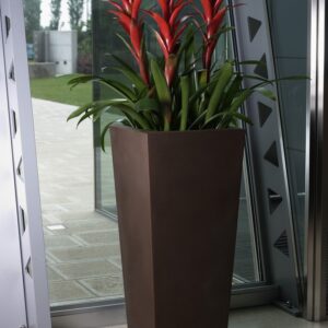 Vaso kiam - Thumbnail Image 3