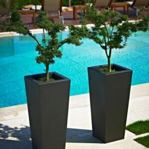 Vaso kiam - Thumbnail Image 4