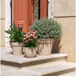 Vaso Etria New Collection Aromatika