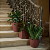 Vaso Etria New Collection Aromatika - Thumbnail Image 3